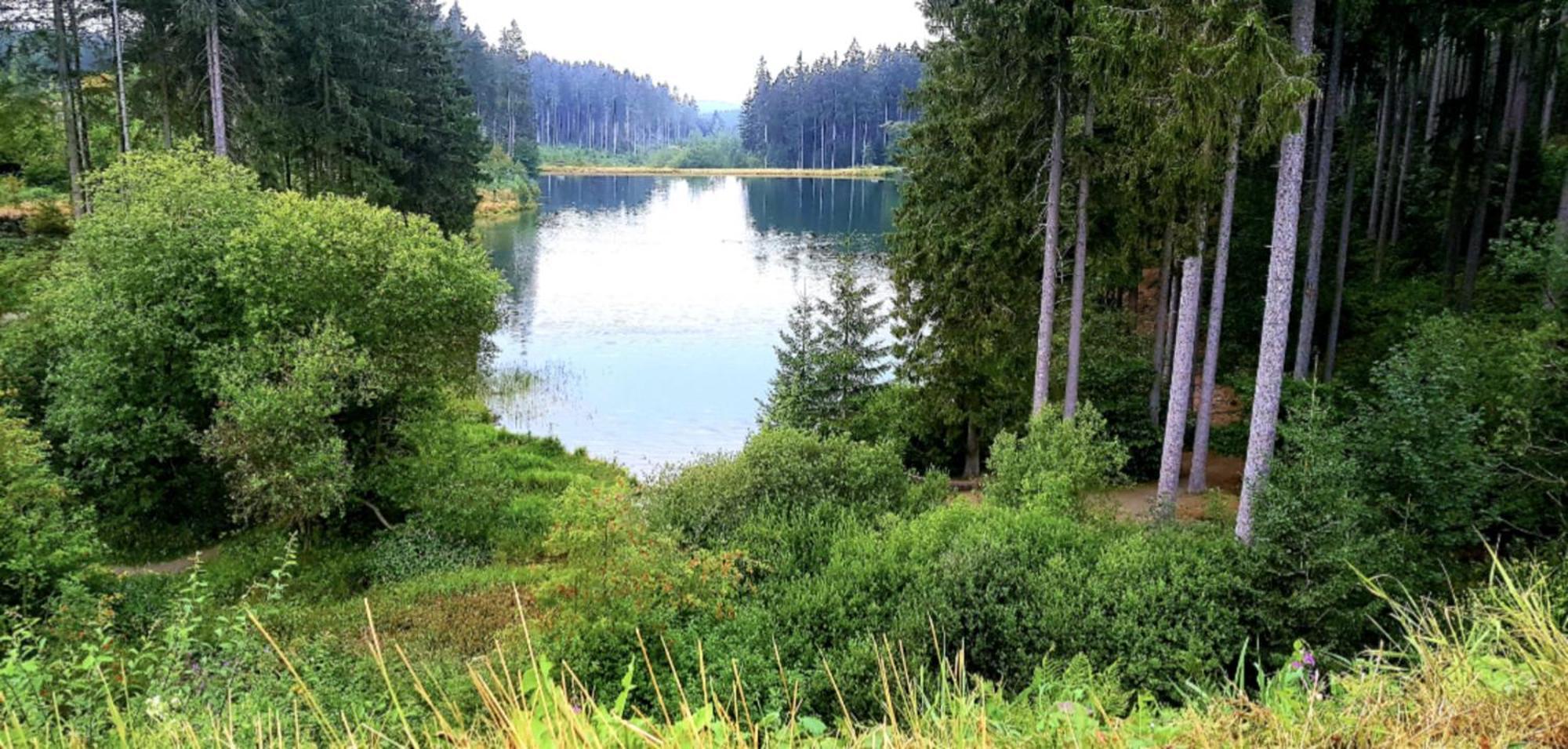 Kleine Freiheit Apartment Am See Γκόσλαρ Εξωτερικό φωτογραφία