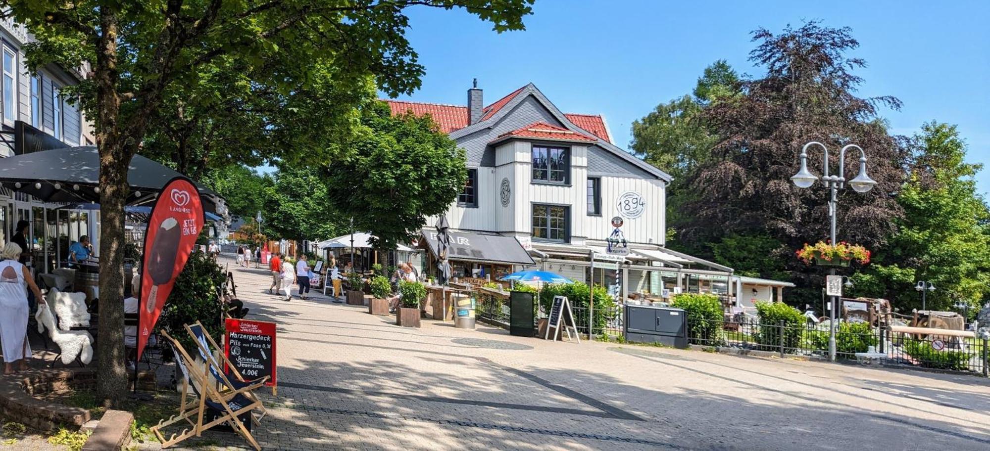 Kleine Freiheit Apartment Am See Γκόσλαρ Εξωτερικό φωτογραφία